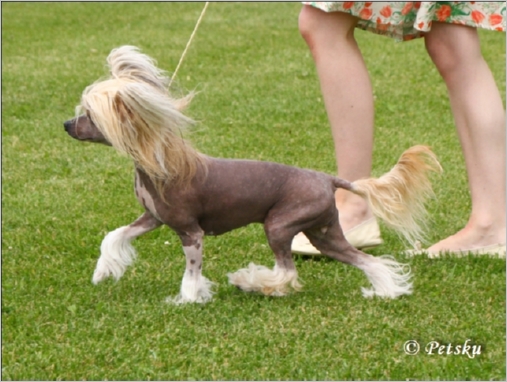 Tapi-Tapi My_Little_Pony